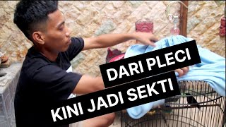 YUZA KANTATA : TANPA NGODENG APALAH DAYA