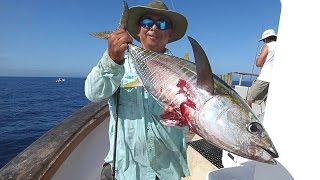 Mirage Sportfishing - Oct 12-13 2015 - Osborne Bank - SBI - El Nino Yellowfin Tuna