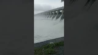 Shetrunji Dam overflowed for the first time in the current season, opening all 59 gates ll