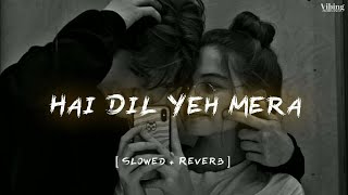 Hai Dil Yeh Mera [ Slowed + Reverb ]