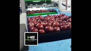 Revolutionary Fruit Sorting Machine: Effortless and Efficient Sorting at Lightning Speed!