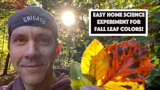 Teach your kids leaf color changing science with chromatography, homeschool style.