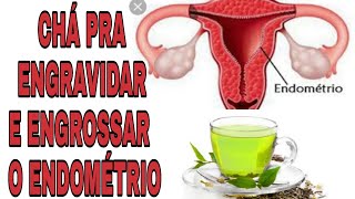 CHÁ PRA ENGROSSAR O ENDOMETRIO E ESPESSURA IDEAL PRA ENGRAVIDAR! (CháDafertilidade)