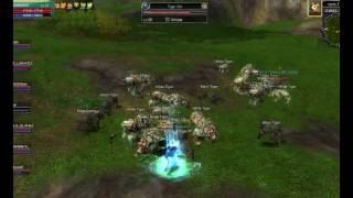 Silkroad online zajbani5 Nr. 4 TG kill