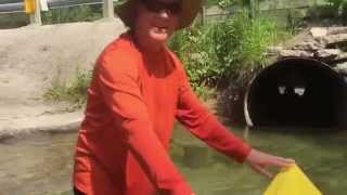 Shooting the Tube on the Crystal River, Glen Arbor