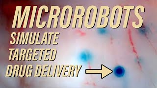 Soft microrobots demonstrate potential for targeted drug delivery