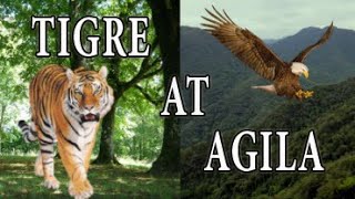 TIGRE AT AGILA