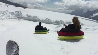 Switzerland Jungfraujoch 스위스 융프라우 눈썰매 타기