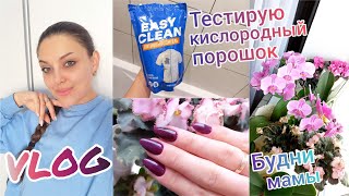 VLOG:Видео удалили😏Вас уже 5000🥰Тестирую пятновыводитель Easy Clean👍Солим рыбку🐟Новый маникюр💅🏻