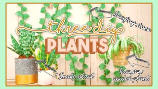 🌿3 MINI 𝓹𝓵𝓪𝓷𝓽 DIY's | Hanging vines, Spider Plant, Snake Plant {For AG & others} ☹=🙅‍♀️=🧄