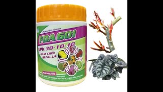 Phân Bón Lá NPK FDA 30-10-10+TE,Kích Bật Chồi Mới,Hũ 100gam,Tạo Mầm Cây Con 0967 863 963