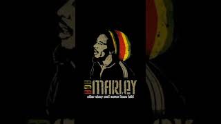 Clip short song Bob Marley get up stand up part 2