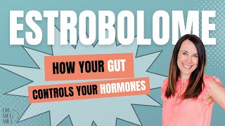 How Your Gut Influences Your Hormone Levels: Your Estrobolome