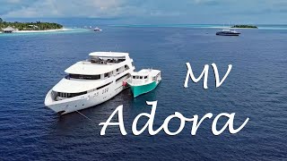 MV Adora - Maldives