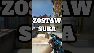 NAJLEPSZE NIEBIESKIE SKINY W CSGO DO 5 Zl