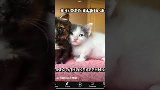 Видео не мое убейте меня #роблокс #роблокс #активвернись #амели #школа