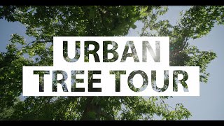 Urban Tree Tour