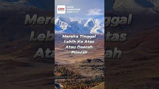 #shorts : Tempat Tinggal Mongol yang Nomaden