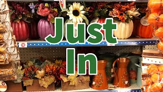 Dollar Tree 2023 | NEW Finds This Week🎃🎃🎃