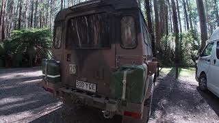 Noojee and Latrobe state forests