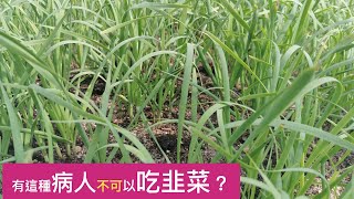 韭菜很好吃，但是這種人不適合吃韭菜為什麼？