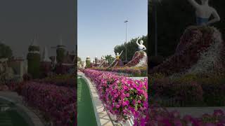 Dubai miracle garden