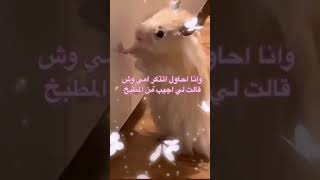 اسفه على التأخير ما عندي فكرت فيديو 😅😅