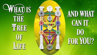 What is The Tree of Life and What Can It Do For You?