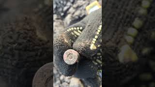 Викопав старовинного патрона. Коп монет 2021  #metaldetecting #металошукач #garrett #metaldetector