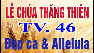 #326 | TV46 | Chúa Nhật 7 PS-B | CHÚA THĂNG THIÊN