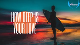 How Deep Is Your Love Lyrics (Acoustic Guitar Cover)