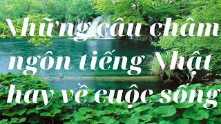 Những câu châm ngôn tiếng Nhật hay về cuộc sống