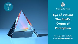 Eye of Vision: The Soul’s Organ of Perception