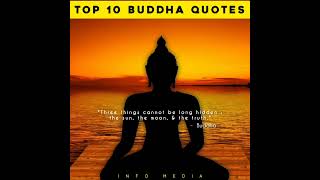 Top 10 Lord Buddha Quotes | English | Thoughts | Motivation | Fact | Info Media