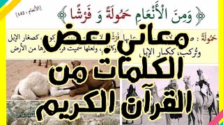 معاني بعض الكلمات من القرآن الكريم/ مقاطع هادفة