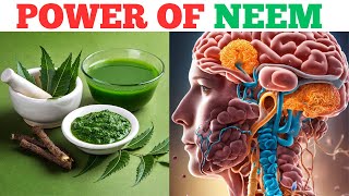 Neem Leaves Health Benefits |Role Of Neem In Diseases