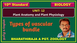 Types of vascular bundle