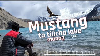 मुस्ताङ देखि तिलिचो ताल सम्म को यात्रा | tilicho lake manang | Risky mesokanto cross