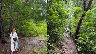 Let’s take a walk to Lapak Beach (Nabutay, Maria, Siquijor)