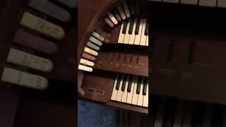 The organ has a smell. Ideas?