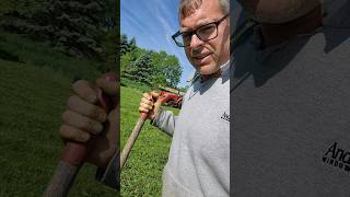 Feeding Food Plot Cuttings To Our Cows! #farmlife #shorts #homesteading #diy #cow #beef #foodplot