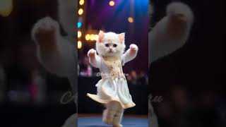 cat dansing video