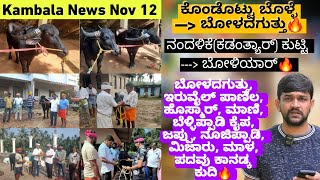 Kambala News November 12 | Iruvail, Boladaguthu, Bellipady, Mani, Hosmar, Mijar , Jappu Kudi