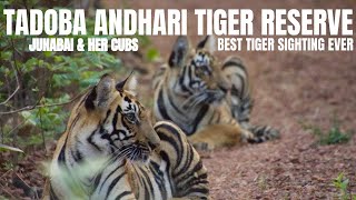 Tadoba Andhari Tiger Reserve | Tadoba Jungle Safari | Tadoba National Park | Tiger Safari