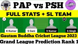 PAP VS PSH Dream11|PAP VS PSH DREAM11 Team Prediction |Pap vs Psh Gautam Buddha T20#papvspsh#dream11