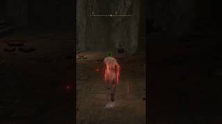 Elden Ring - I walked right past him! #eldenring #gaming #eldenringpvp #eldenringgameplay #pvp