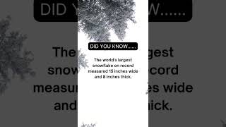 Did you know this? The largest snowflake ❄️❄️❄️❄️