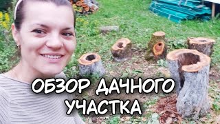 Обзор дачного участка. Срубили много деревьев.