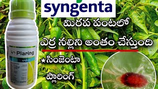 syngent plaring redmites control on redchilli crop /సింజెంటా ప్లారింగ్ ఎర్ర నల్లి నివారణకు#redchil