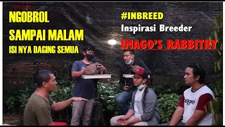 Ngilmu Bareng ke Om Aifan | Owner Imagos's Rabbitry (PART-2)